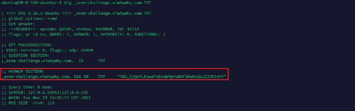 使用Let's Encrypt申请免费通配符证书，验证DNS解析是否生效